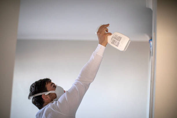 Best Emergency Mold Remediation in Shoshone, ID